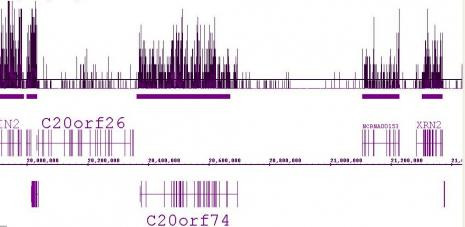 Histone H3K36me3 Antibody in ChIP-Sequencing (ChIP-Seq)