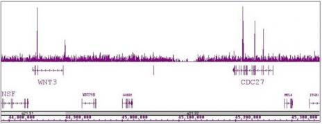 TCF7L1 / TCF3 Antibody in ChIP-Sequencing (ChIP-Seq)