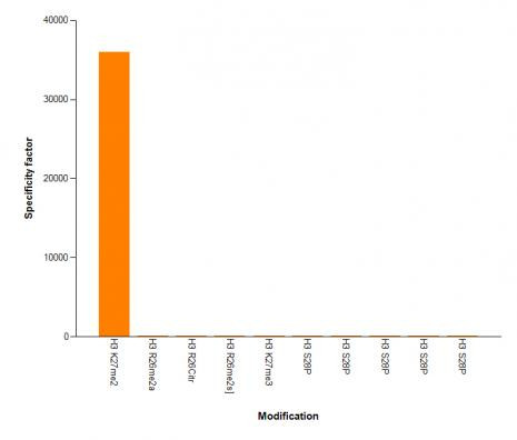 Histone H3K27me2 Antibody in ELISA (ELISA)