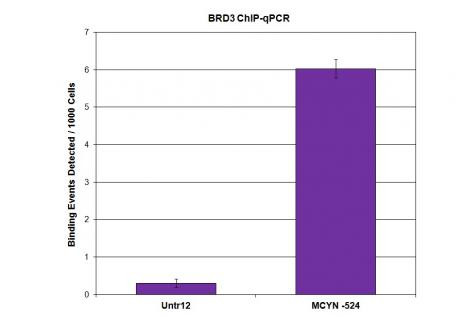 BRD3 Antibody in ChIP Assay (ChIP)