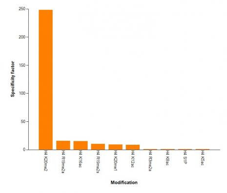 Histone H4K20me2 Antibody in ELISA (ELISA)