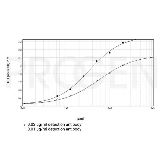 M13/fd/F1 Antibody in ELISA (ELISA)