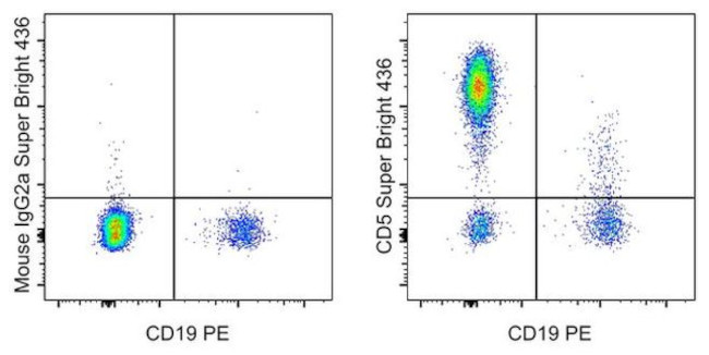 CD5 Antibody in Flow Cytometry (Flow)