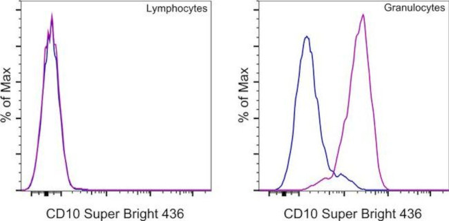 CD10 Antibody in Flow Cytometry (Flow)