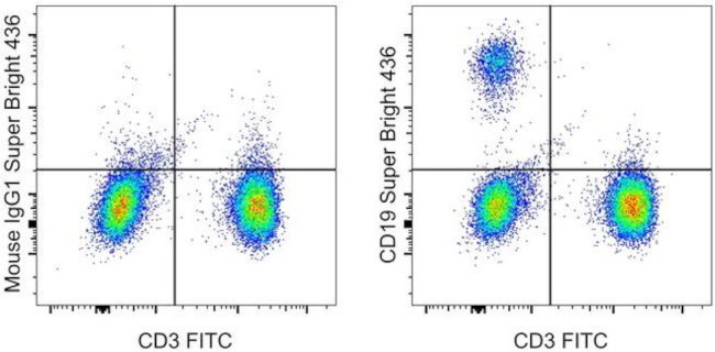 CD19 Antibody in Flow Cytometry (Flow)