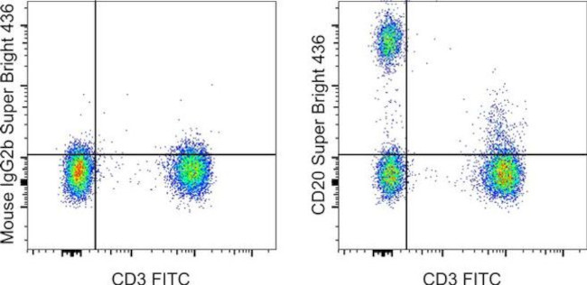 CD20 Antibody in Flow Cytometry (Flow)