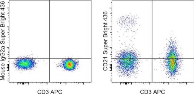 CD21 Antibody in Flow Cytometry (Flow)