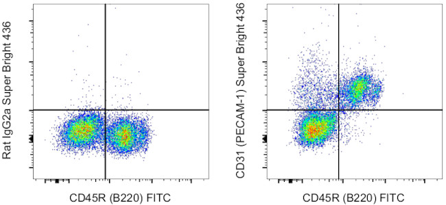 CD31 (PECAM-1) Antibody in Flow Cytometry (Flow)