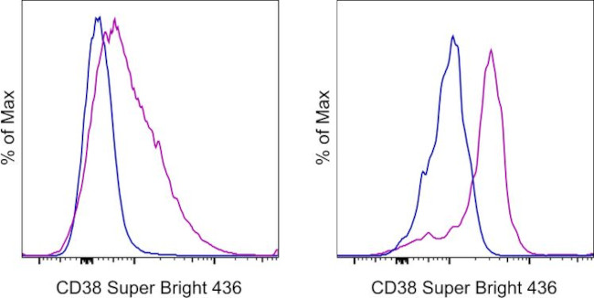 CD38 Antibody in Flow Cytometry (Flow)