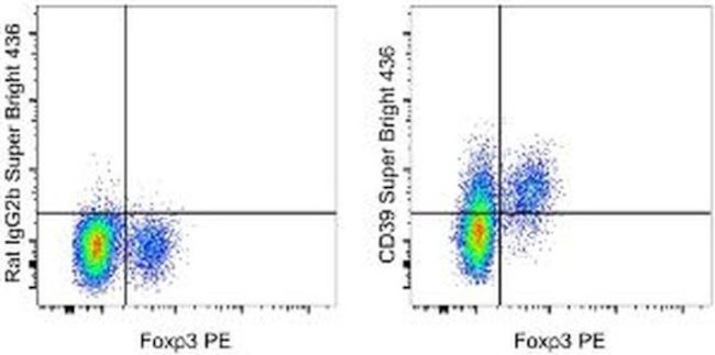 CD39 Antibody in Flow Cytometry (Flow)