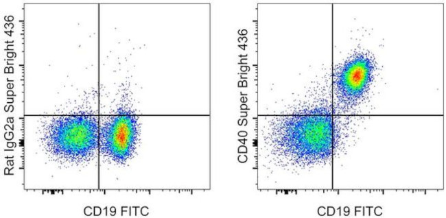 CD40 Antibody in Flow Cytometry (Flow)