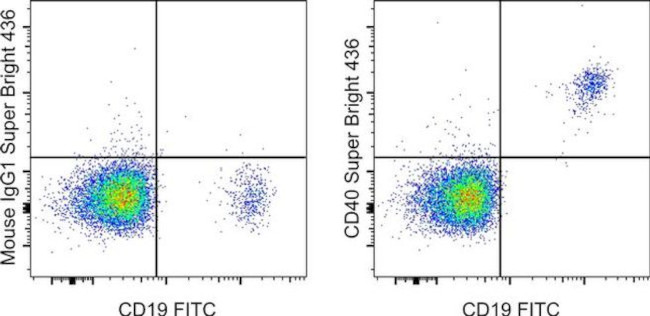 CD40 Antibody in Flow Cytometry (Flow)