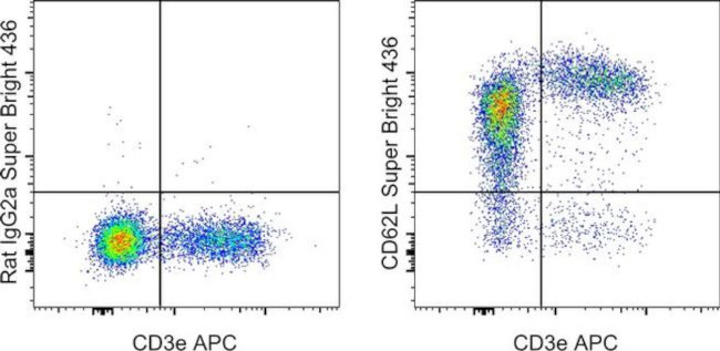 CD62L (L-Selectin) Antibody in Flow Cytometry (Flow)