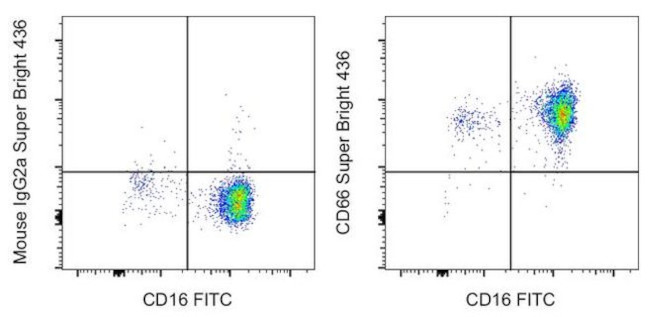 CD66 Antibody in Flow Cytometry (Flow)