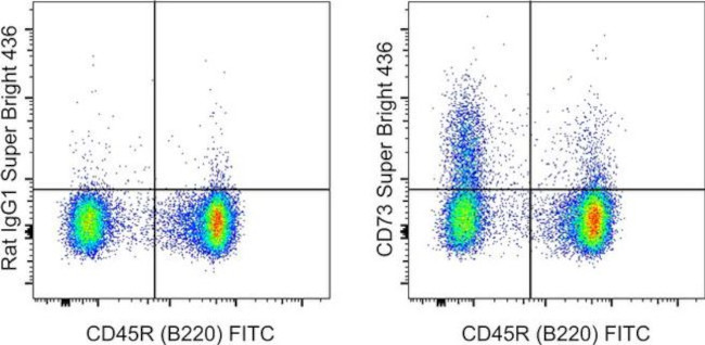 CD73 Antibody in Flow Cytometry (Flow)