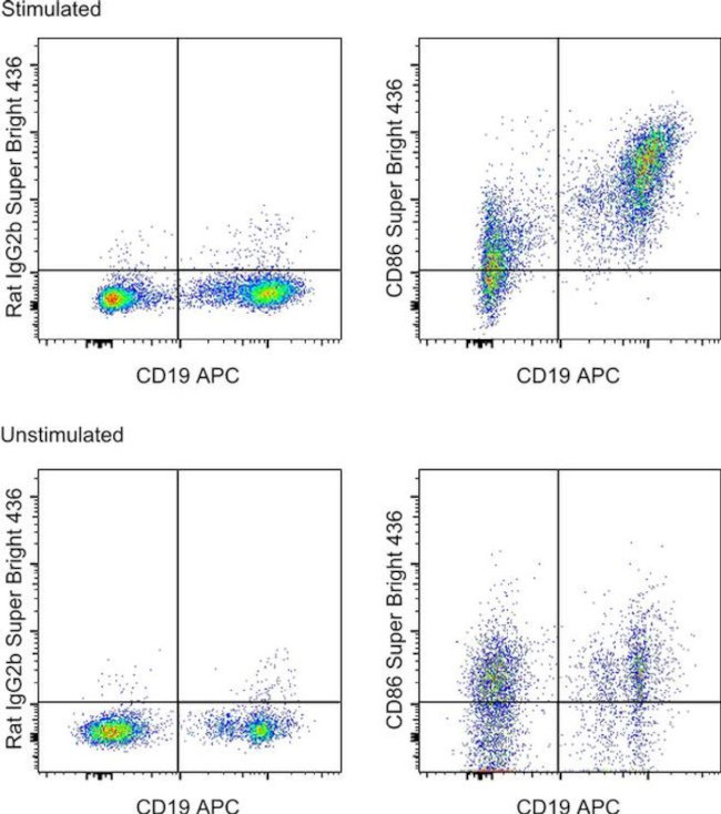 CD86 (B7-2) Antibody in Flow Cytometry (Flow)