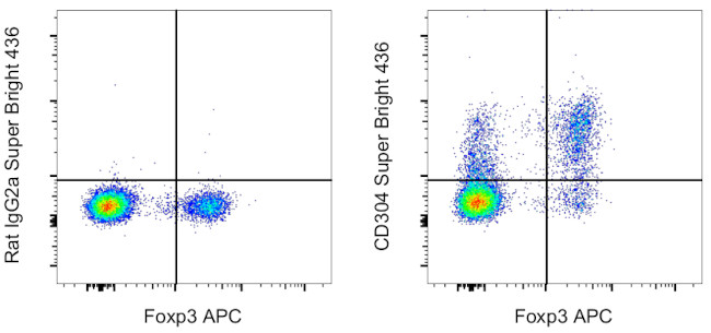 CD304 (Neuropilin-1) Antibody in Flow Cytometry (Flow)