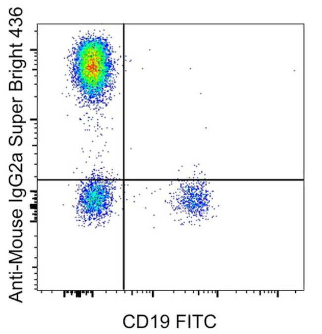 Mouse IgG2a Secondary Antibody in Flow Cytometry (Flow)