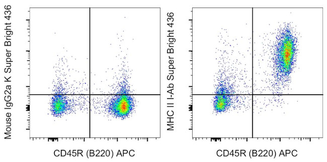 MHC Class II I-Ab Antibody in Flow Cytometry (Flow)