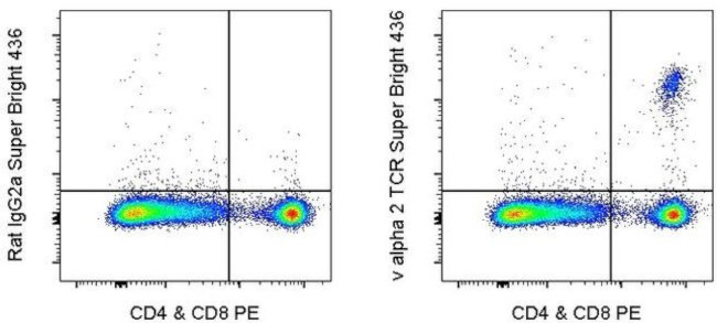 TCR V alpha 2 Antibody in Flow Cytometry (Flow)