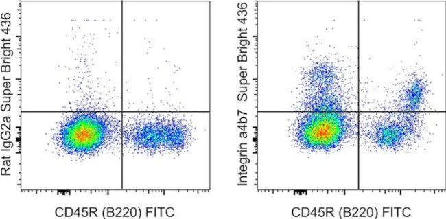 Integrin alpha 4 beta 7 (LPAM-1) Antibody in Flow Cytometry (Flow)