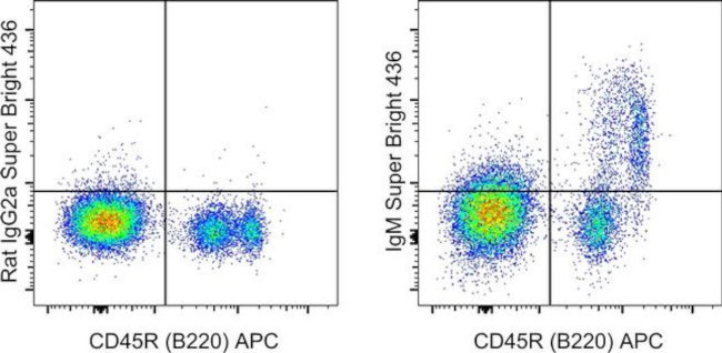 IgM Antibody in Flow Cytometry (Flow)