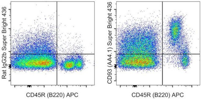 CD93 (AA4.1) Antibody in Flow Cytometry (Flow)