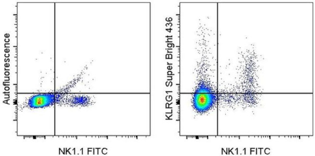 KLRG1 Antibody in Flow Cytometry (Flow)