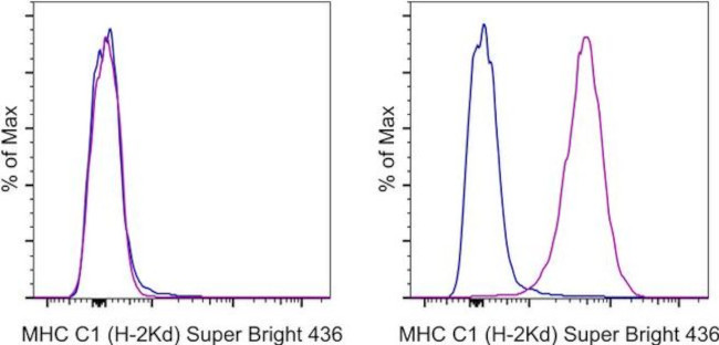 MHC Class I (H-2Kd) Antibody in Flow Cytometry (Flow)