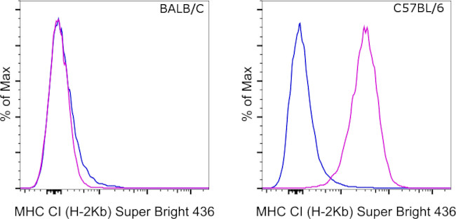 MHC Class I (H-2kb) Antibody in Flow Cytometry (Flow)