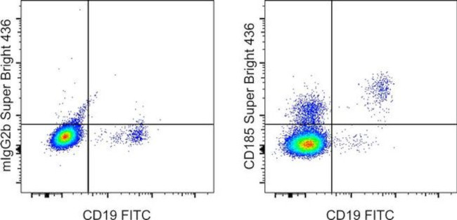 CD185 (CXCR5) Antibody in Flow Cytometry (Flow)