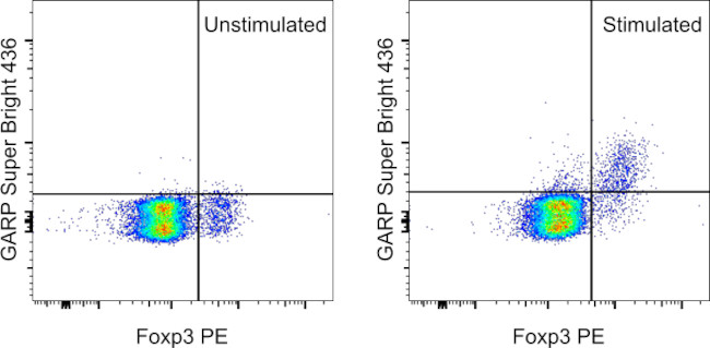 GARP Antibody in Flow Cytometry (Flow)