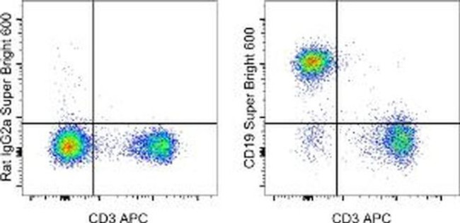 CD19 Antibody in Flow Cytometry (Flow)