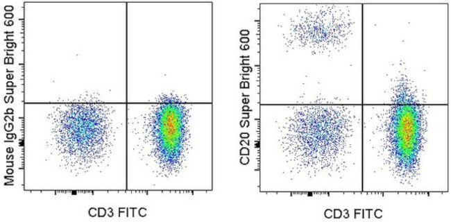 CD20 Antibody in Flow Cytometry (Flow)