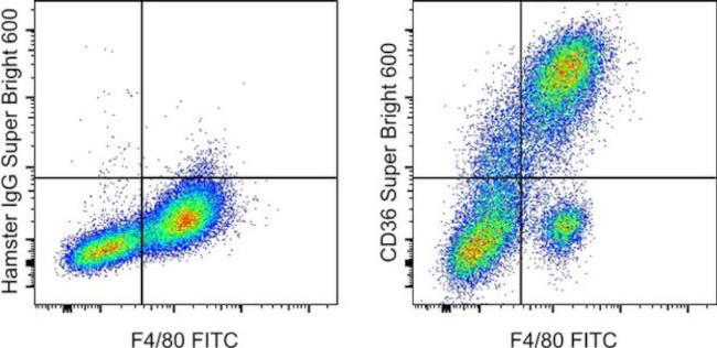 CD36 Antibody in Flow Cytometry (Flow)