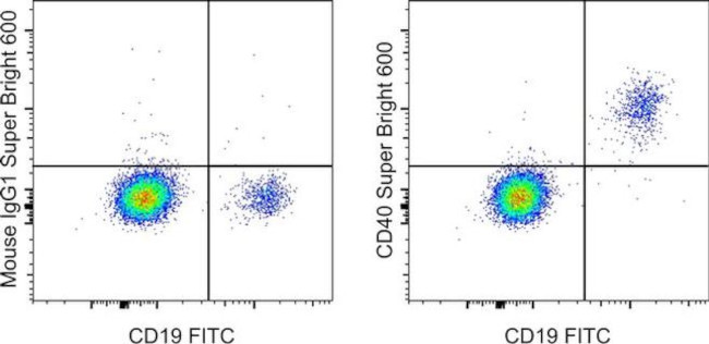 CD40 Antibody in Flow Cytometry (Flow)