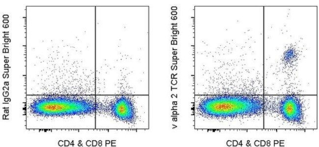 TCR V alpha 2 Antibody in Flow Cytometry (Flow)