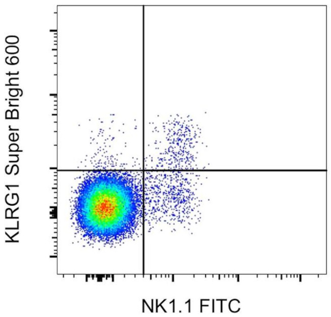 KLRG1 Antibody in Flow Cytometry (Flow)