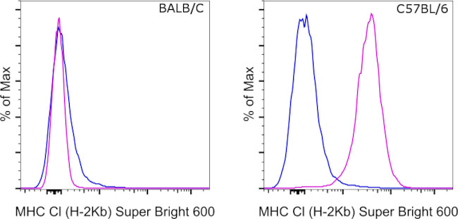 MHC Class I (H-2kb) Antibody in Flow Cytometry (Flow)