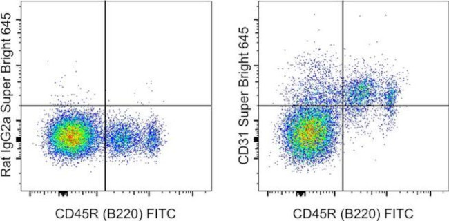 CD31 (PECAM-1) Antibody in Flow Cytometry (Flow)