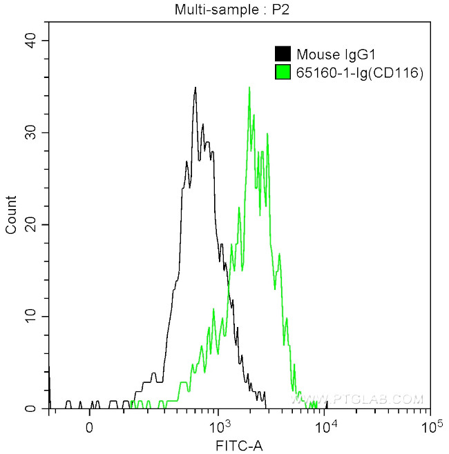 CD116 Antibody in Flow Cytometry (Flow)