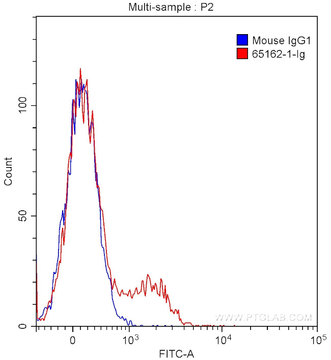 CD73 Antibody in Flow Cytometry (Flow)