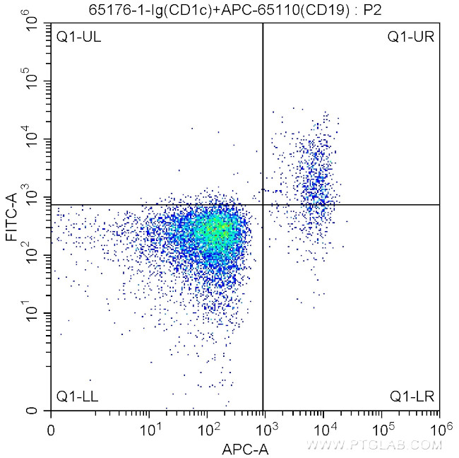 CD1c Antibody in Flow Cytometry (Flow)