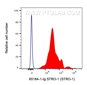 STRO-1 Antibody in Flow Cytometry (Flow)