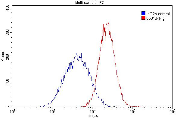 HLA class I ABC Antibody in Flow Cytometry (Flow)