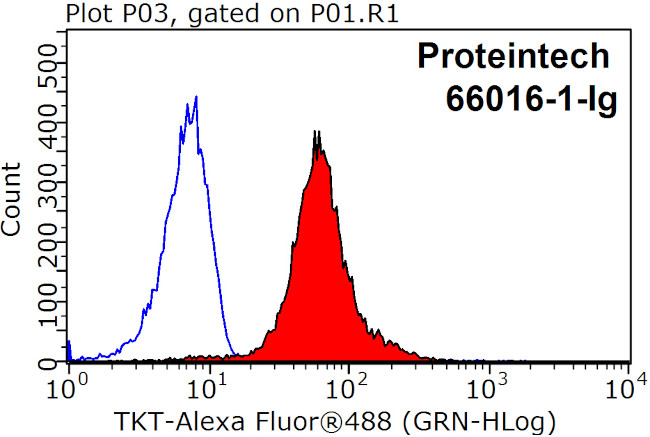 Transketolase Antibody in Flow Cytometry (Flow)