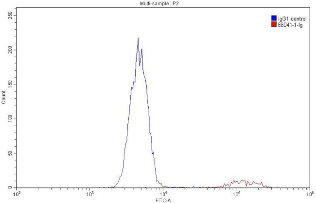 HSP60 Antibody in Flow Cytometry (Flow)