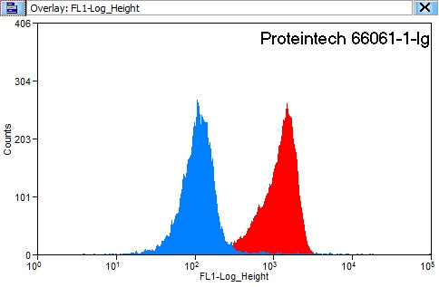 14-3-3 Antibody in Flow Cytometry (Flow)