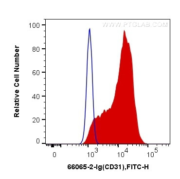 CD31 Antibody in Flow Cytometry (Flow)