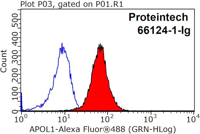 APOL1 Antibody in Flow Cytometry (Flow)